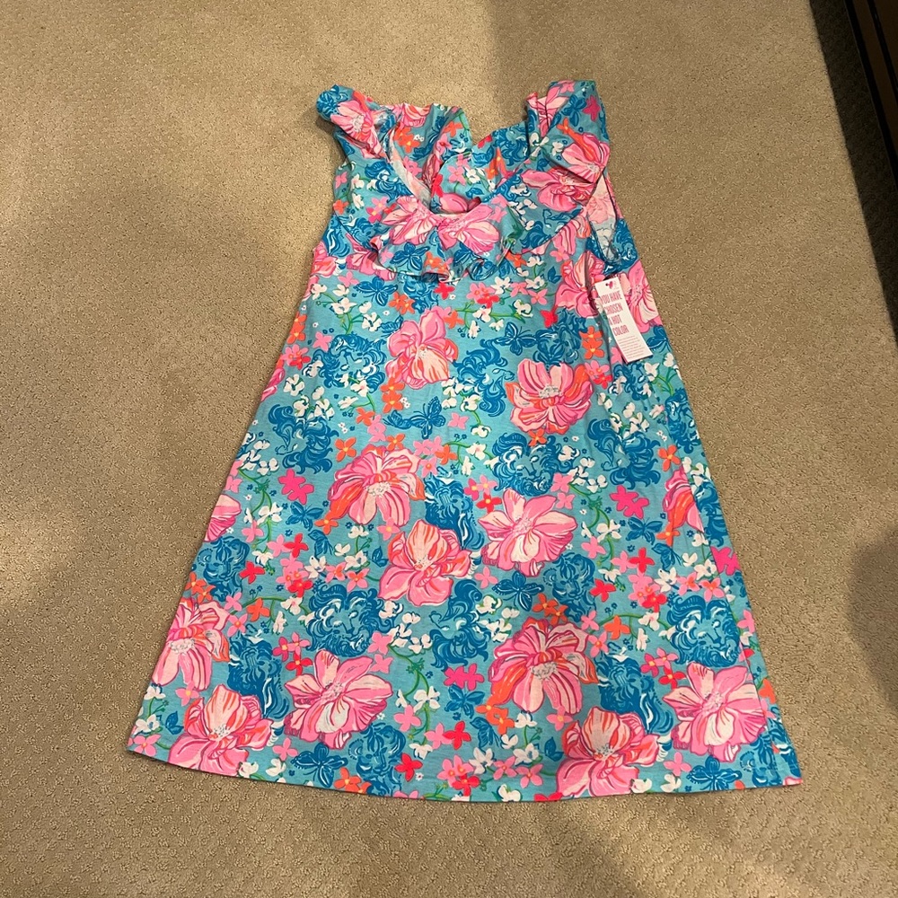 Alessa swing dress size xl